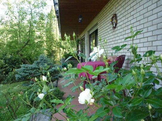 3-Zi-Einliegerwhg. gr. gepflegt. Garten,Terrassen Grafenau-Döffingen (6 km bis MB, Tor 3)