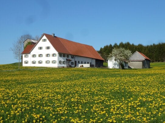 Einfamilienhaus XXL - Bauernhaus in traumhafter Lage