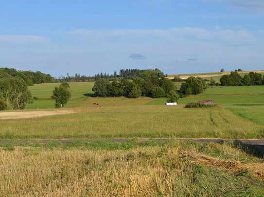 Landwirtschaftsfläche