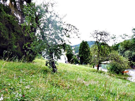 **Ohne Durchgangsverkehr** Großes Baugrundstück in Südwest-Hanglage