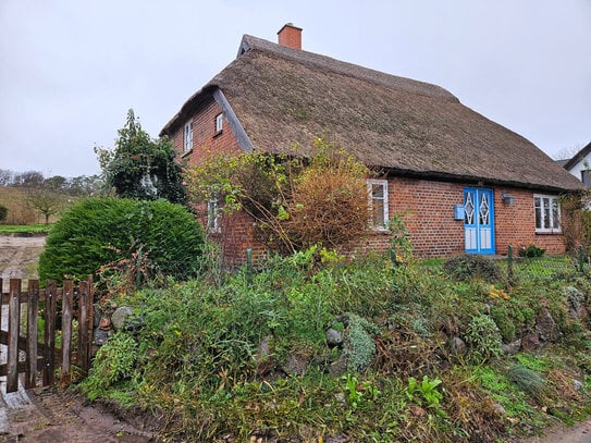 Reetgedecktes Bauernhaus mit Denkmal-AfA