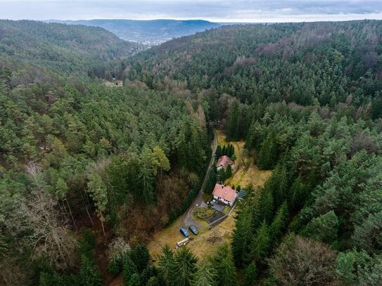 *Waldgrundstück in Jena-Ammerbach* Einfamilienhaus und Gästehaus auf ca. 33.000 m² Grund