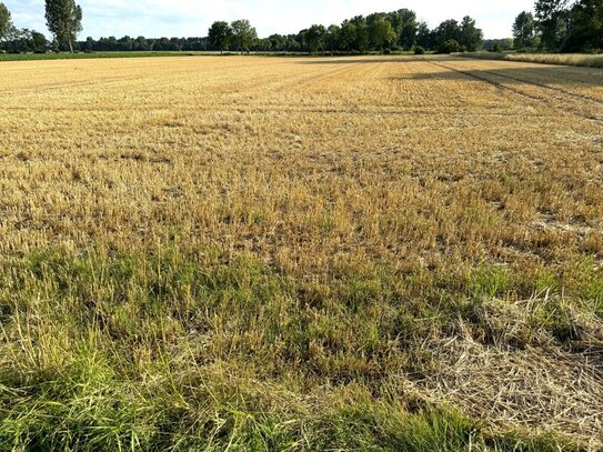 Ackerfläche in Wassenberg