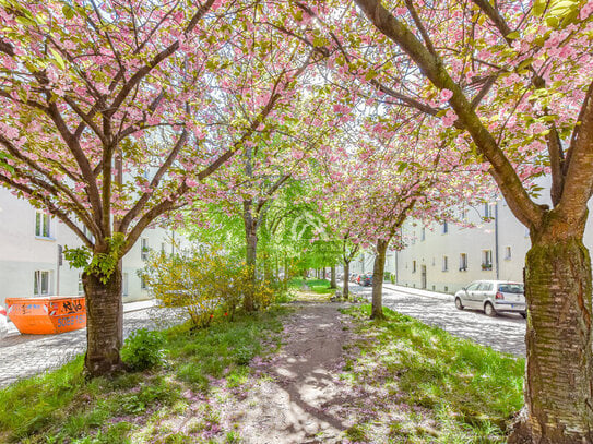 CHARMANTE GEWERBEFLÄCHE, VIELSEITIG NUTZBAR IN PRENZLAUER BERG!PROVISIONSFREI!