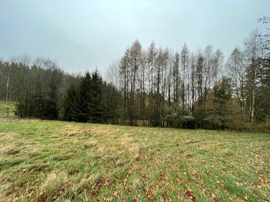 Wiese für Naturliebhaber bei Bärnau