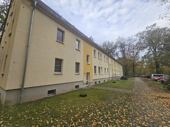 Großzügige 2 Raumwohnung OT Kochstedt