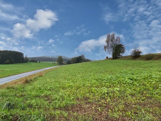 schön geschnittene Ackerfläche bei Pleystein