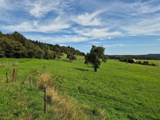 Großzügiges Wohnhaus I Hallen I 11.790 m² Wiese I Optional weitere Flächen