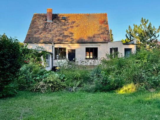 Haus im Dornröschenschlaf