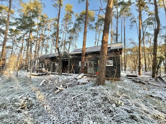 TinyHouse im Wald im Wendland - Neues Zuhause / perfektes Ferienhaus - Tinyhaus von 2022/23 - Glasfaser!