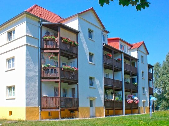 Gemütliche 2-Raum-Wohnung in Debschwitz mit Badewanne und Balkon