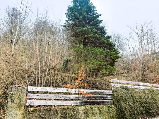 Baugrundstück (nicht erschlossen)