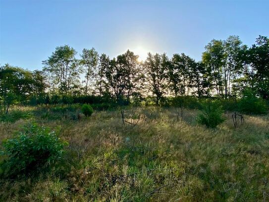 -LDIMMOBILIEN.DE- Freizeitgrundstück nahe Wandlitz