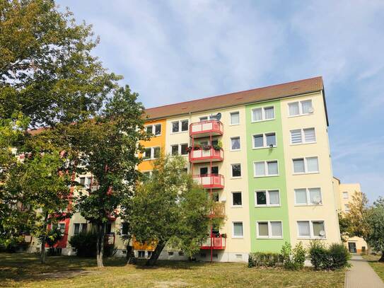 Modern sanierte 2-Raum Wohnung im Erdgeschoss