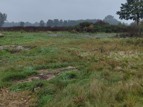 Baugrundstück in Naturlage