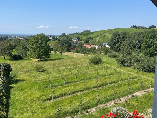 Einfamilienhaus mit traumhafter Aussicht in Bühl