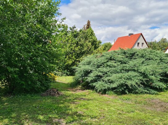 Zu sanierendes Einfamilienhaus im Osten von Halle mit großem Grundstück