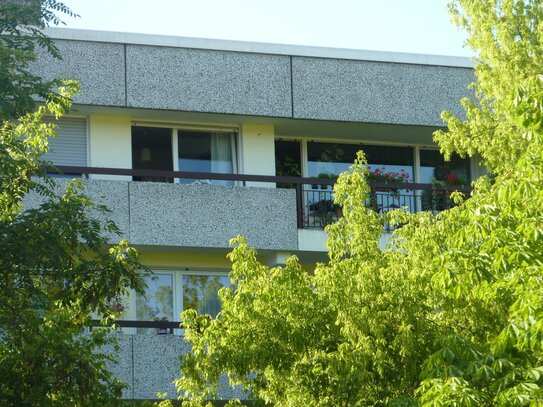 Helle, großzügige, gut geschnittene Wohnung mit Penthouse-Charakter in zentraler, grüner Lage