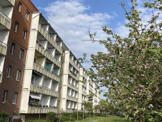2-Raum-Wohnung mit Süd-Balkon und Stellplatz in Greifswald