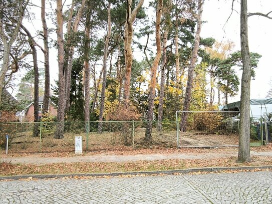 Idyllisches Baugrundstück in Zeuthen - Naturnahes Refugium südöstlich von Berlin