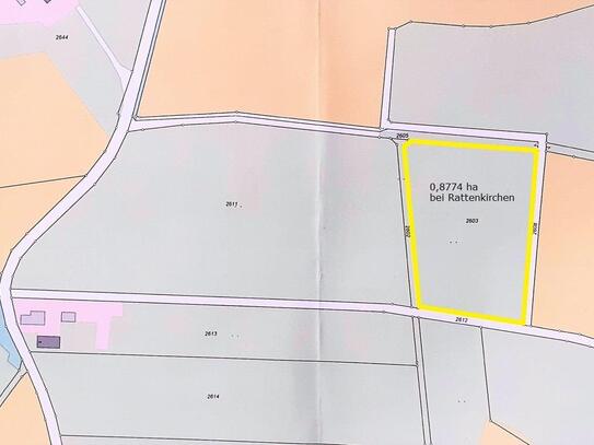 Landwirtschaftliches Grünland (Wiese mit 8.774 m²) im Landkreis Mühldorf