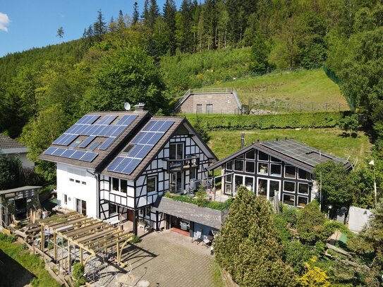 Modernisiertes Wohnhaus nahe Bruchhauser Steine - Natur, Ruhe und Weitblick