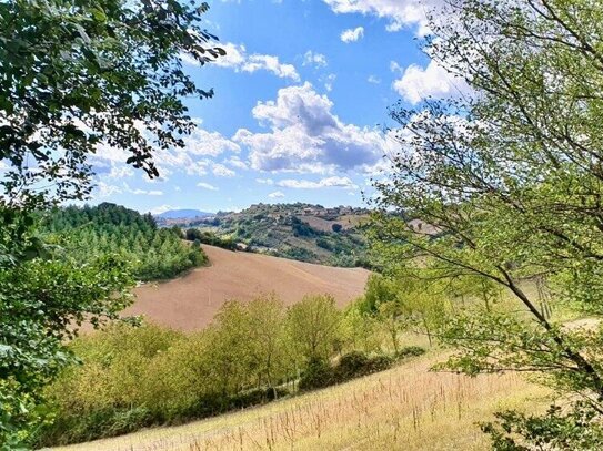 Grundstück in Italien | Ascoli Piceno | Adriaküste | ca. 14.000 m² Fläche | Hotelbau möglich