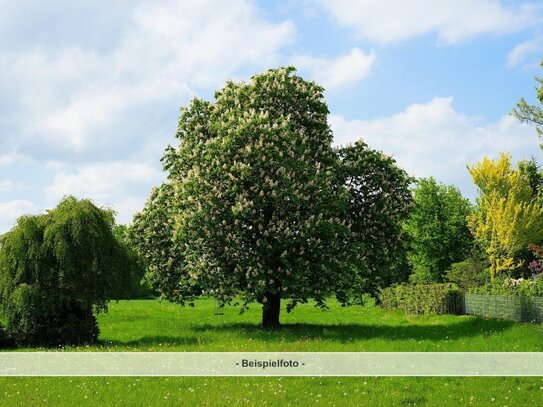 Baugrundstück in Onsdorf zu verkaufen