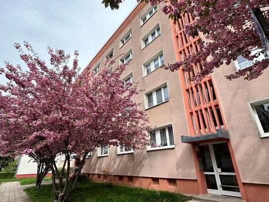 2-Raumwohnung mit Balkon