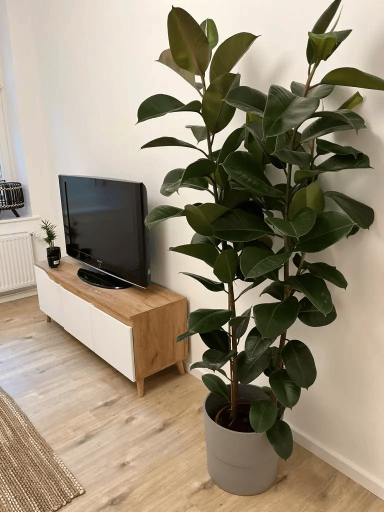 Möblierte 1-Zimmer-Wohnung in Friedrichshain - Foto 1