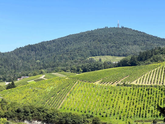 Repräsentatives, großzügiges Anwesen mit vielseitigen Nutzungsmöglichkeiten in Bestwohnlage mit traumhaftem Panoramaaus…