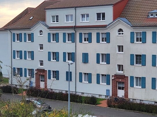 kleiner Garten und eine renovierte 3 Zimmerwohnung nahe der Elbwiesen