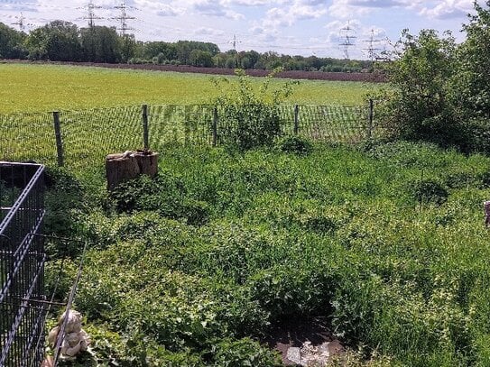 **Schöne Lage mit vielen Perspektiven 2-3 Familienhaus mit großem Garten und Grund**