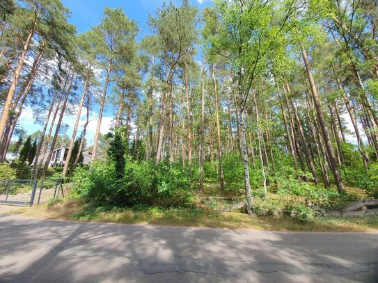 Wald- und Hanggrundstück in bevorzugter Lage für knapp 1000 m² Wohn-/Nutzfläche