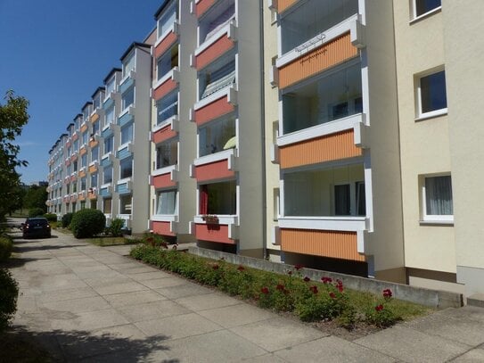 Zweiraumwohnung mit Balkon in Oschatz Hochparterre