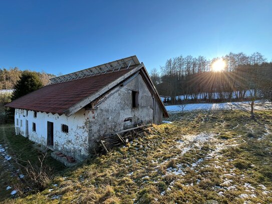 Alleinlage: Bauernhaus mit Ersatzbaumöglichkeit mit PV Anlage; die Sonne bezahlt großteils den Preis