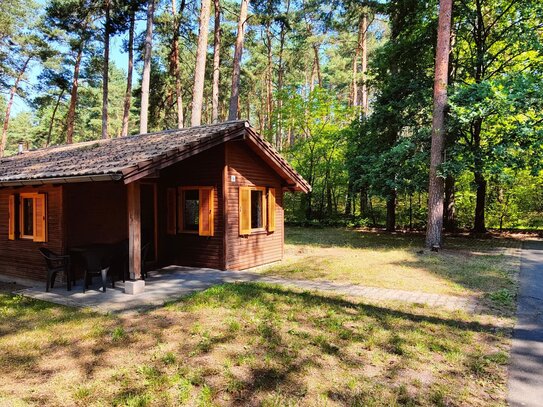 Ferienhäuser in der Colbitz-Letzlinger Heide - fester Wohnsitz möglich