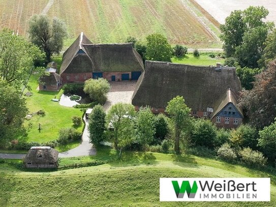 Reetdachanwesen mit 17 Zimmern & 6.058m² Grundstück in idyllischer Lage in Bahrenfleth zu verkaufen