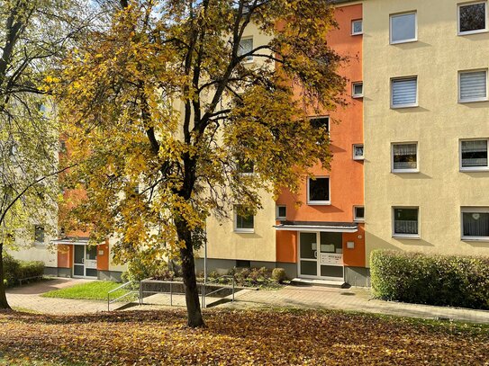 3 Zimmerwohnung mit Terrasse und Garten in Lauf rechts