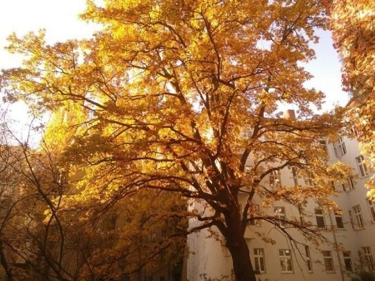 10555 Berlin Mitte 2 Zi Balkon Fahrstuhl