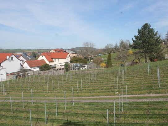 EFH zur individuellen Sanierung - 5 Zimmer, Keller - 1.500m² Grundstück - Fernblick *provisionsfrei*