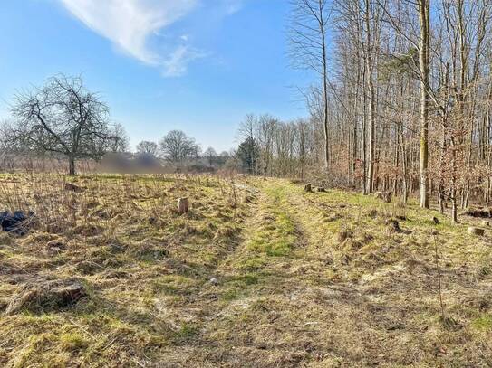 Baugrund mit angrenzender Obstwiese und Baumbestand vor den Toren von Schleswig