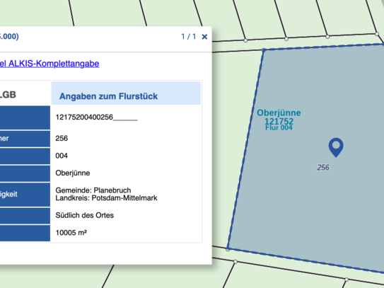 1,8 ha Waldflächen im Ort 14822 Oberjünne (PM)