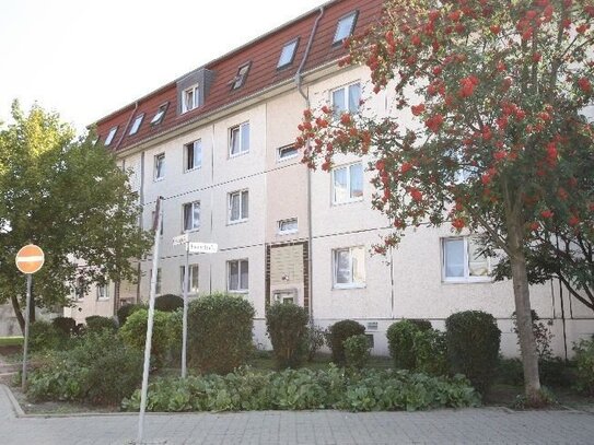 Geräumige 2-Raum-Wohnung im Stadtzentrum