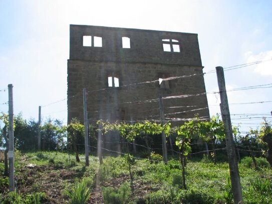 Pendlerwohnen im schönen Weinort Stetten