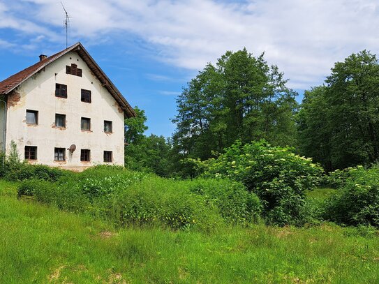 Sanierungsbedürftige Hofstelle in Schwarzach mit viel Grund arrondiert