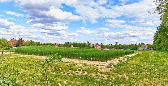 NEUER KP- Ca. 3700 qm Sonnengrundstück mit historischem 15-ZIMMER-GUTSHOF - für 2 bis 4 Familien