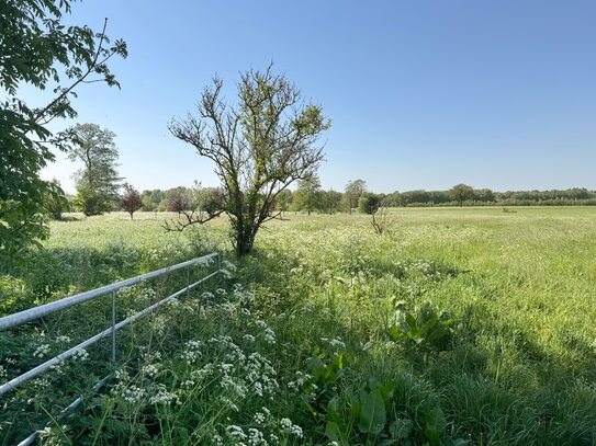 Landpartie | Alleinlage Bauernhaus mit ca. 6 Hektar Land