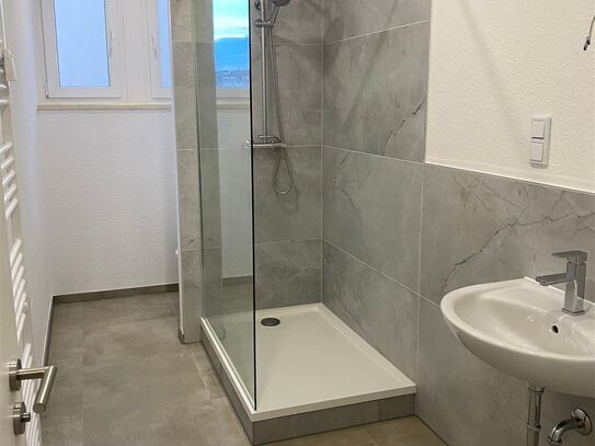 Chemnitz-Lutherviertel* neu sanierte 3 Zimmer-Wohnung* 1.OG* Tageslichtbad mit Dusche* sep. Küche