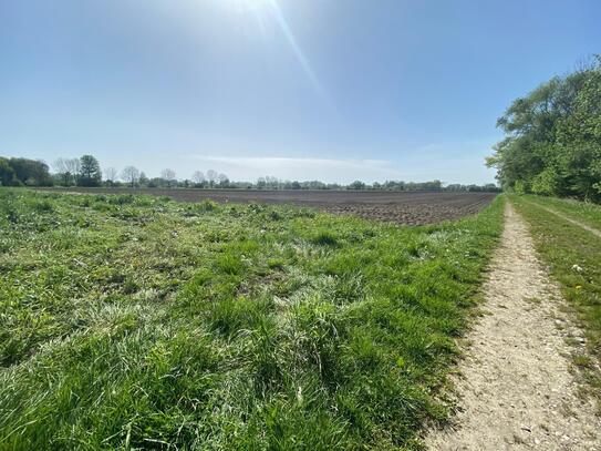 Ackerfläche in Ismaning